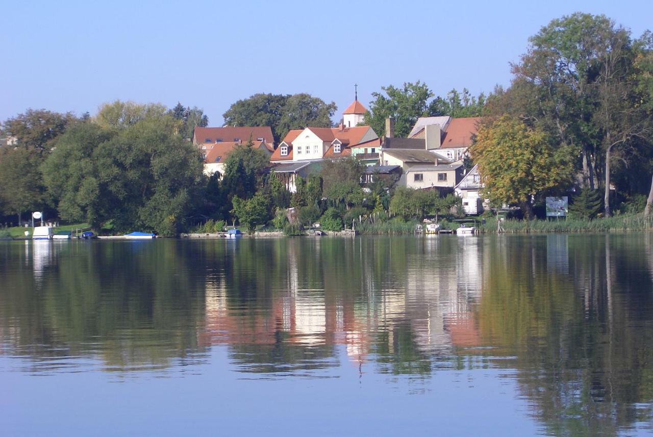 Ferienwohnung Flecken Zechlin 外观 照片